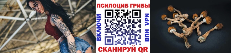 Галлюциногенные грибы прущие грибы Купить где Мытищи